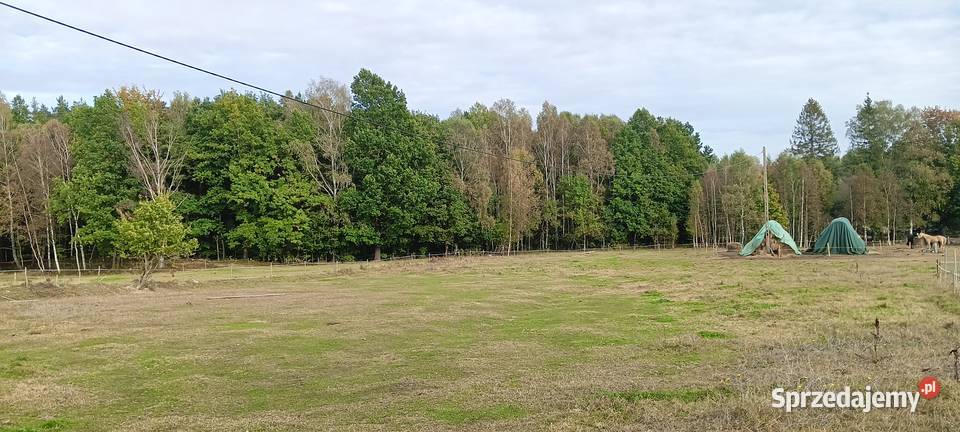 Działka w Szemudzkiej Hucie 149 M2 Szemudzka Huta sprzedam