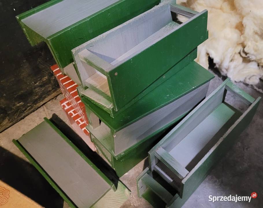 Stara kolejka kolekcjonerów wielkopolskie Poznań