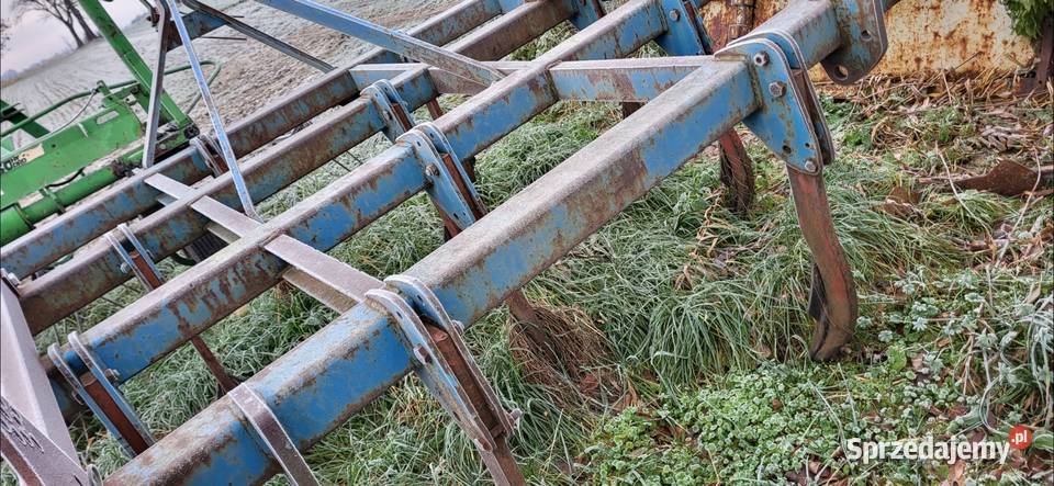 Gruber 1113 łap Gąbin