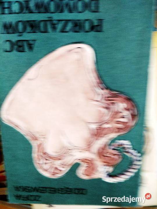 Abc porządków domowych sprzedam