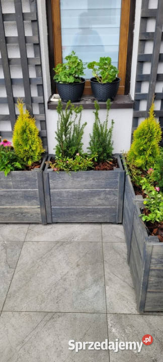 Dwa domy Piastów centrum sprzedam