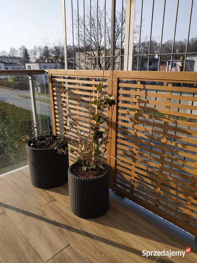 Zabudowa tarasu Warszawa