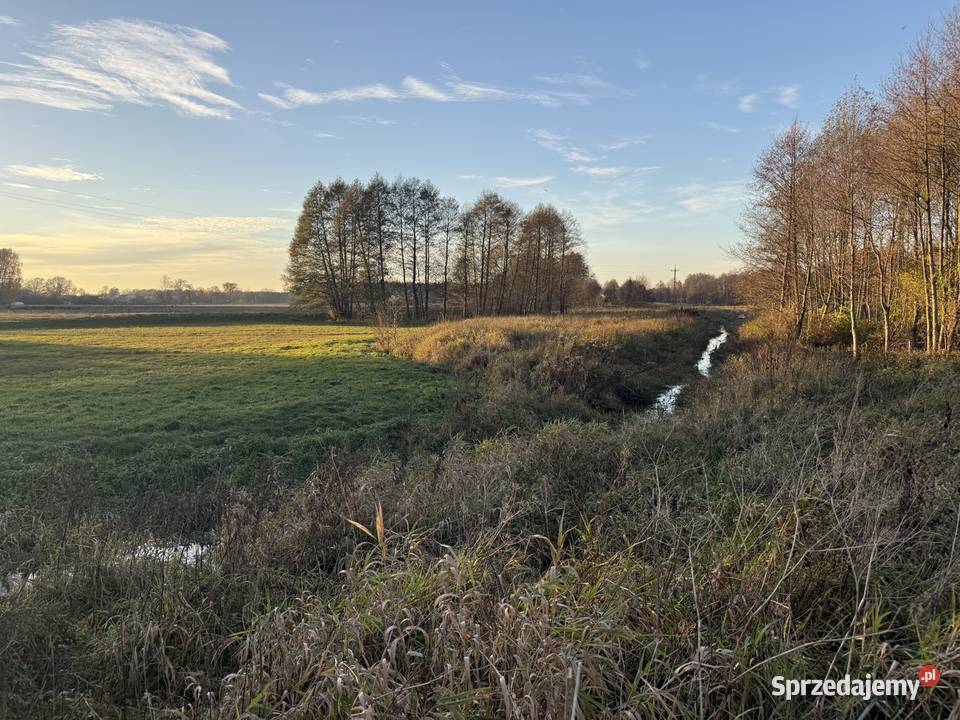 działka budowlana Zdzierczyzna gmina Sokolniki Grunty i działki