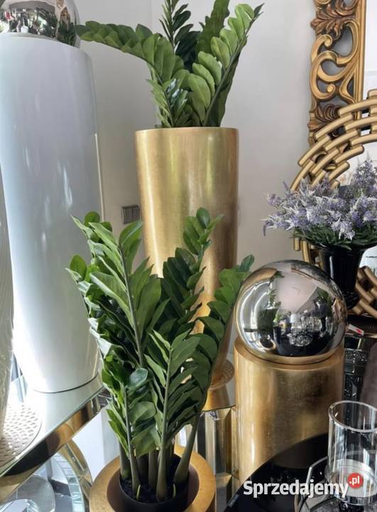 Złota donica Glamour doniczka osłonka nowoczesne Nowy Sącz