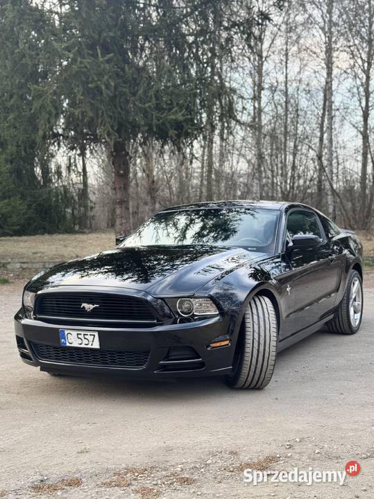 Ford Mustang V S197 2013r z silnikiem 37L V6 305 Sosnowiec