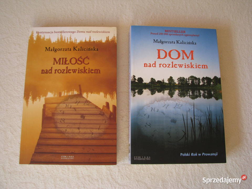 Małgorzata Kalicińska Dom rozlewiskiem Miłość literatura piękna - proza polska Brzegi