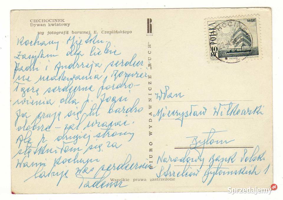 CIECHOCINEK DYWAN KWIATOWY 1 świętokrzyskie Krynki sprzedam