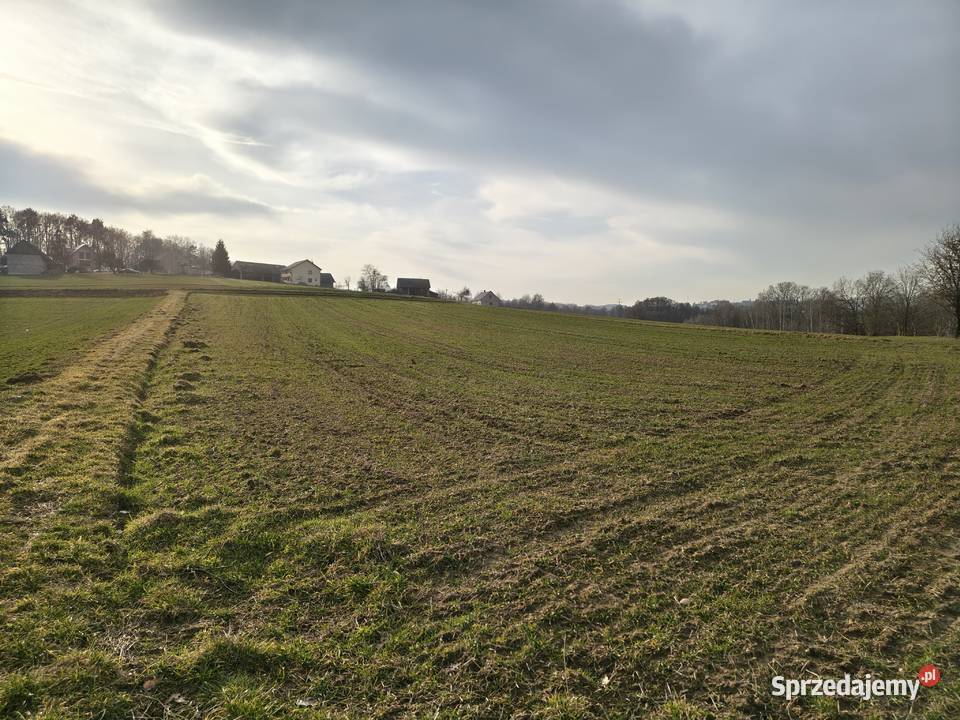 Działka rolna Sławkowice gm Biskupice małopolskie sprzedam