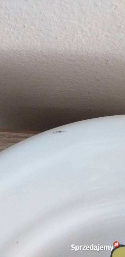 Talerze Tułowice prl Porcelana i szkło łódzkie Przedbórz sprzedam