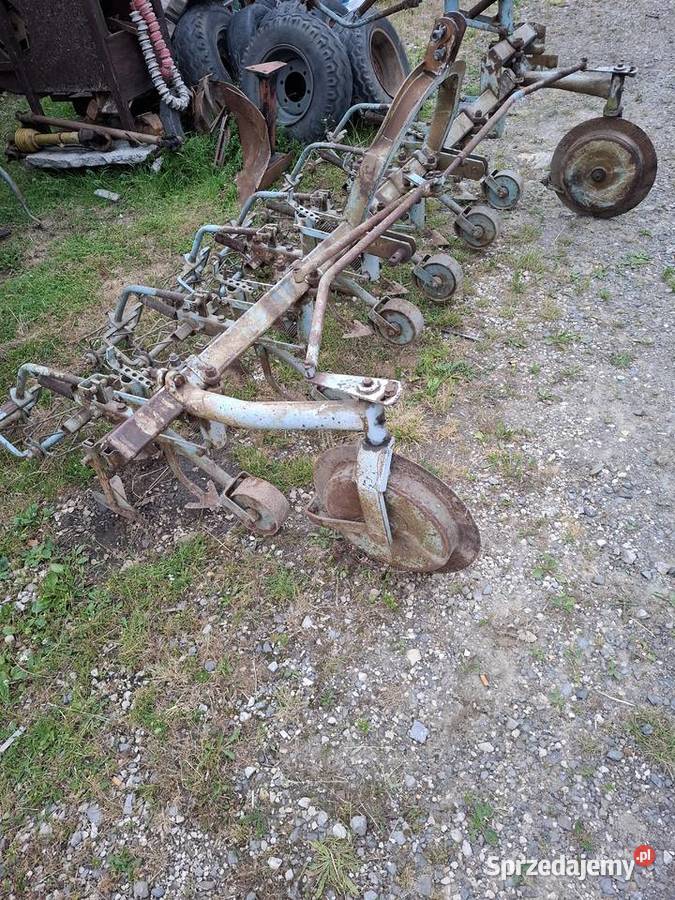 Wielorak planetka oszczędność świętokrzyskie Nowa Słupia