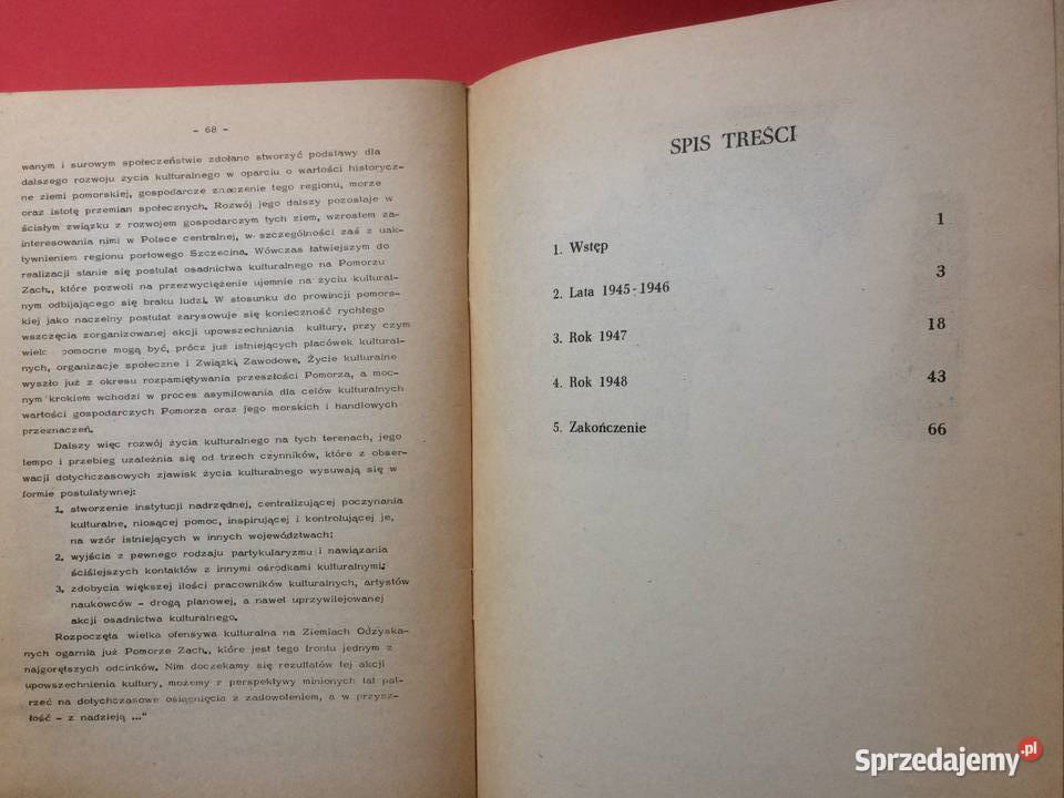 573 Pionierskie Lata Plastyki Szczecińskiej W Szczecin sprzedam