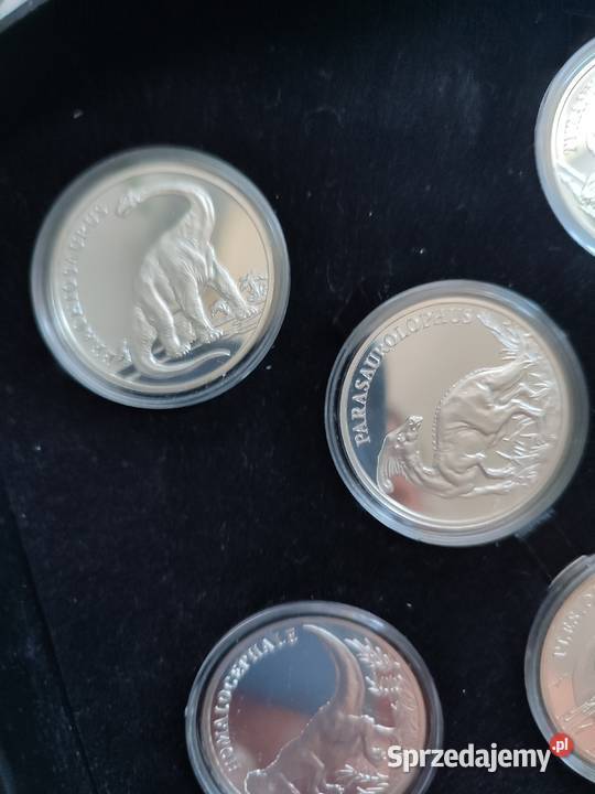 kolekcja dinozaurus Bydgoszcz