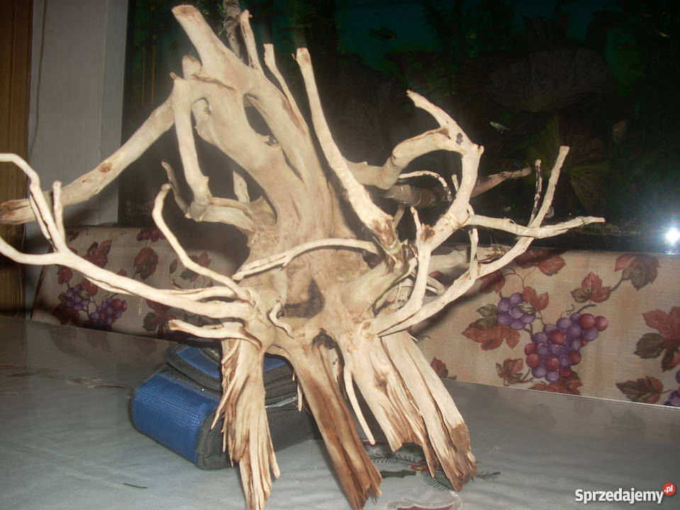 Duży korzeń do akwariumterrarium Kraków