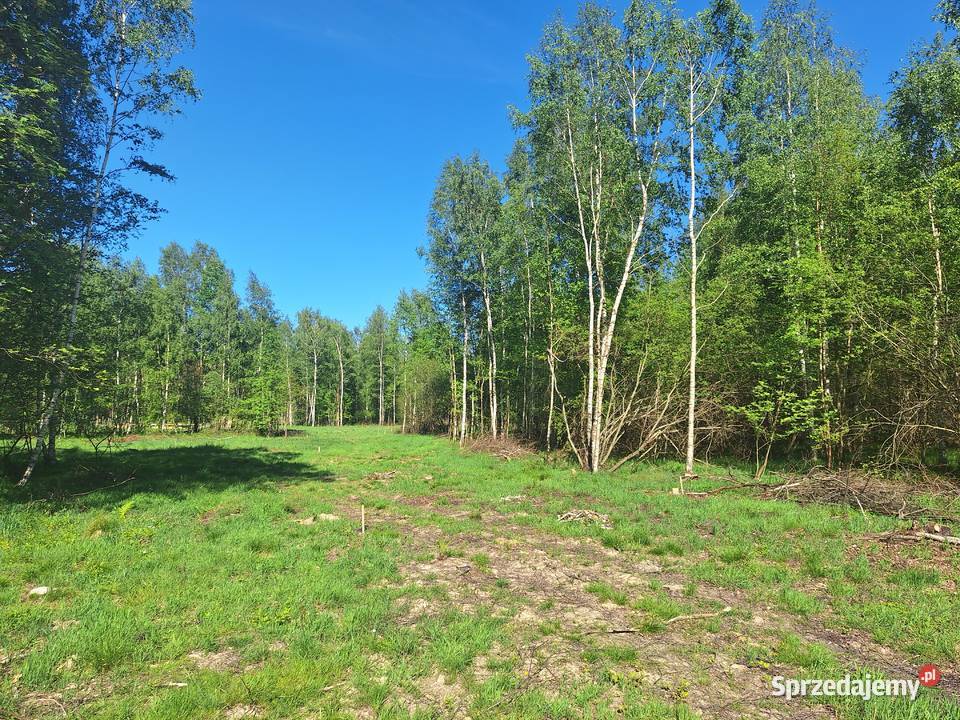 Działki w Małej Kamienicy