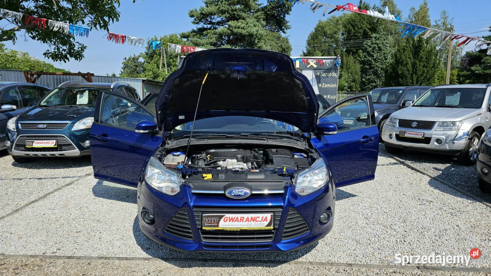 Ford Focus SPRZEDANY Oszczędny 125Śliczny 125KM dolnośląskie Świdnica