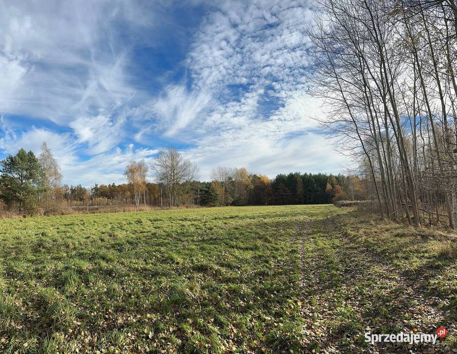 Działka budowlana 4300m2 Wymiarki