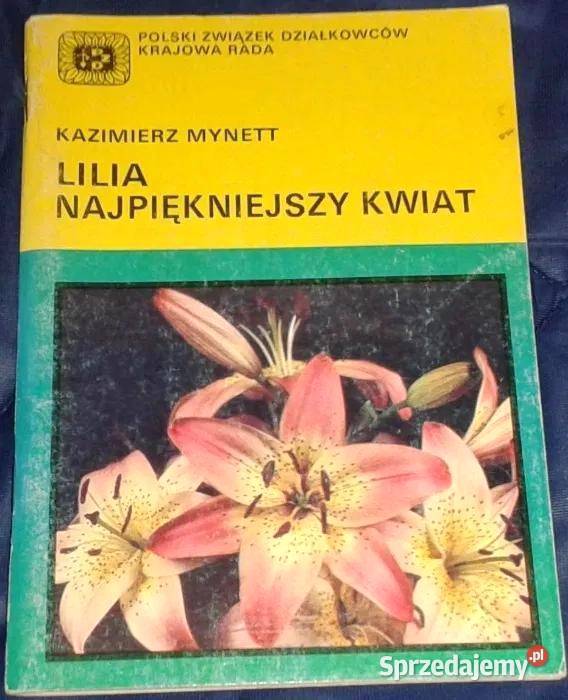 Lilia najpiękniejszy kwiat Kazimierz Mynett miękka Chełm
