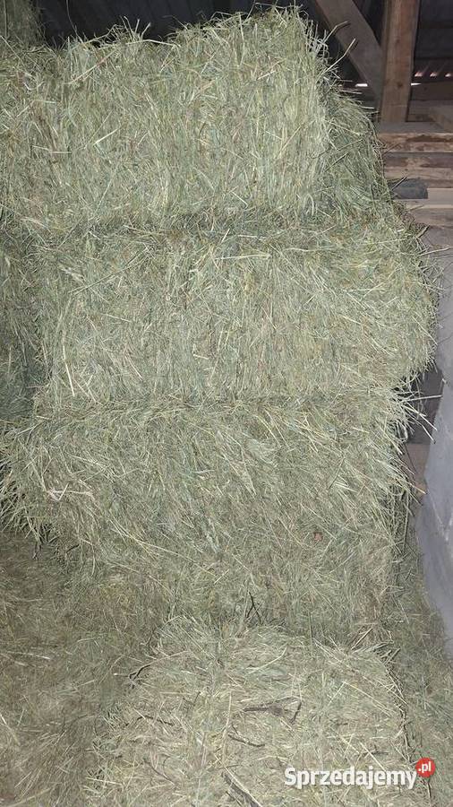 Siano w kostkach dostawa pod adres Pielgrzymowice