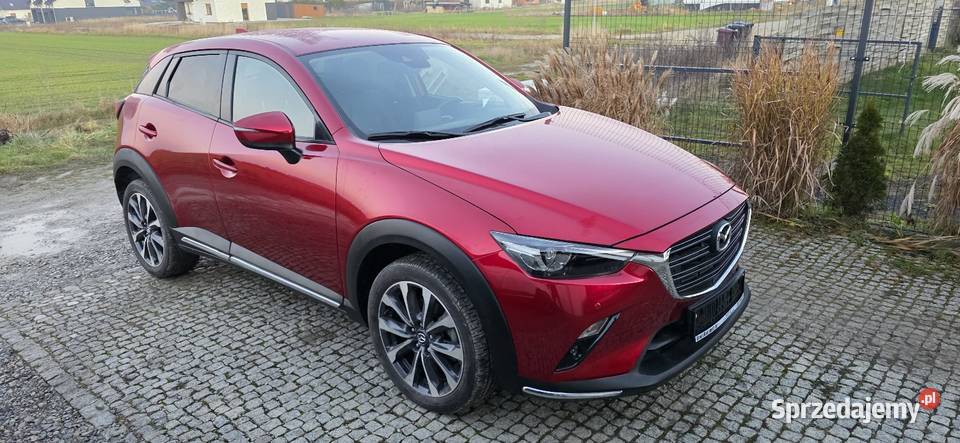 CX3 20 AutSkyPassion Najbogatsza wersja klimatyzacja opolskie Strzelce Opolskie