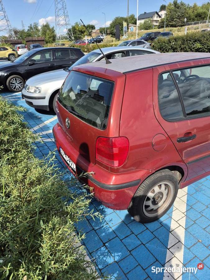 Volkswagen Polo 6N3 2000 10 Benzyna Polo lubelskie Lublin sprzedam