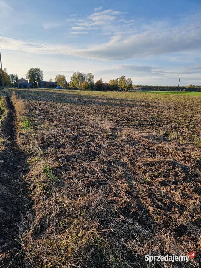 Ziemia rolna Kroczewo