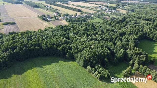 SPRZEDAŻY GRUNTU JÓZEFOWO GMINA SŁUPCA POWIAT Słupca