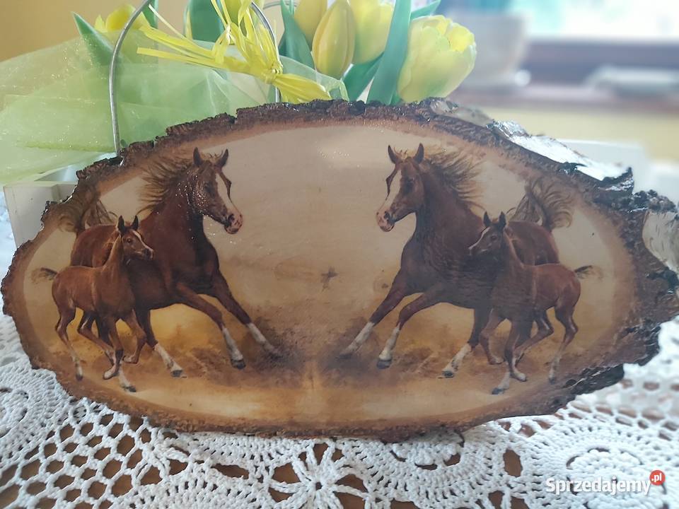 Obrazki miłośników koni Dobrzechów sprzedam