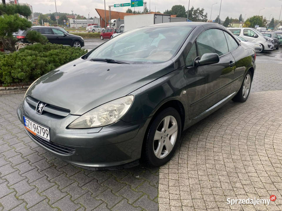 Peugeot 307 CC skóra podgrz fot klimatronic Żory