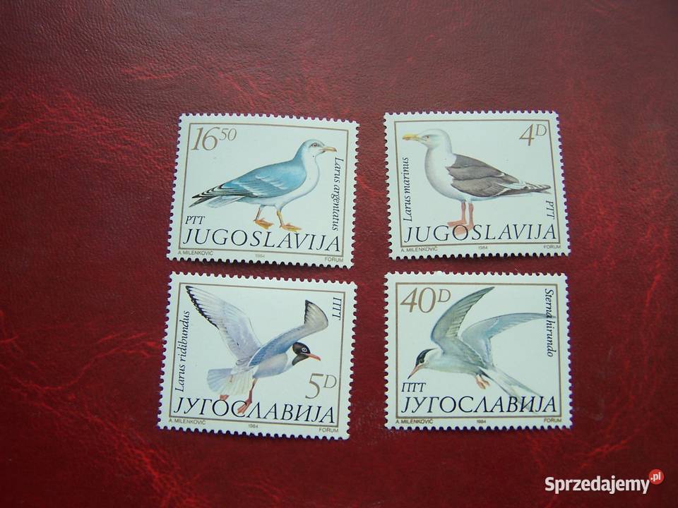 Jugosawia 1984 MNH Mi 205558 Fauna Ptaki Mewy Tychy