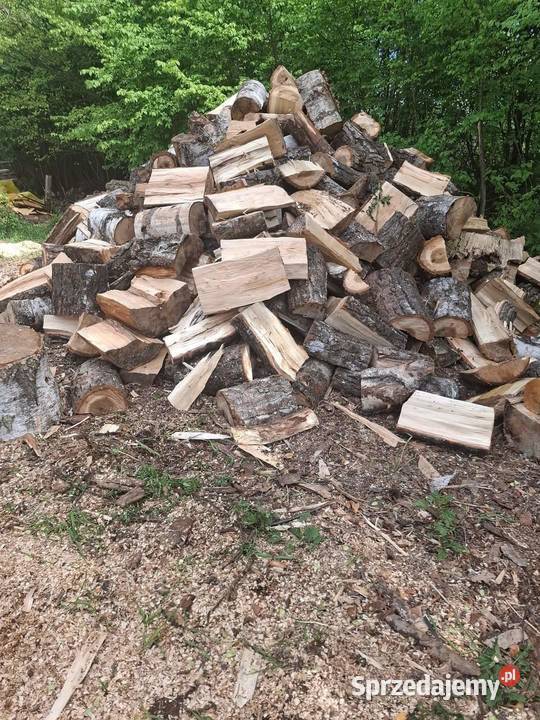 Drewno liściaste do kominka wielkopolskie Kórnik sprzedam