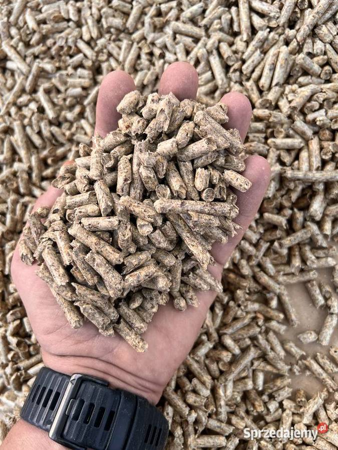 Pellet drzewny sosnowy A1 w workach 15 z Warszawa