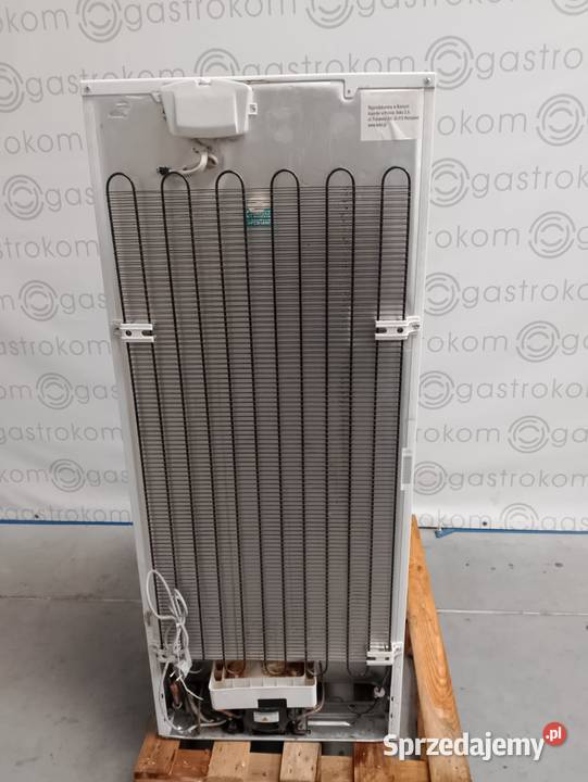 Witryna chłodnicza Beko WSA29000