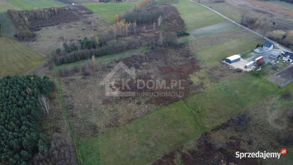 Działka 6500 m2 w Łukowej gm Chęciny Łukowa sprzedam