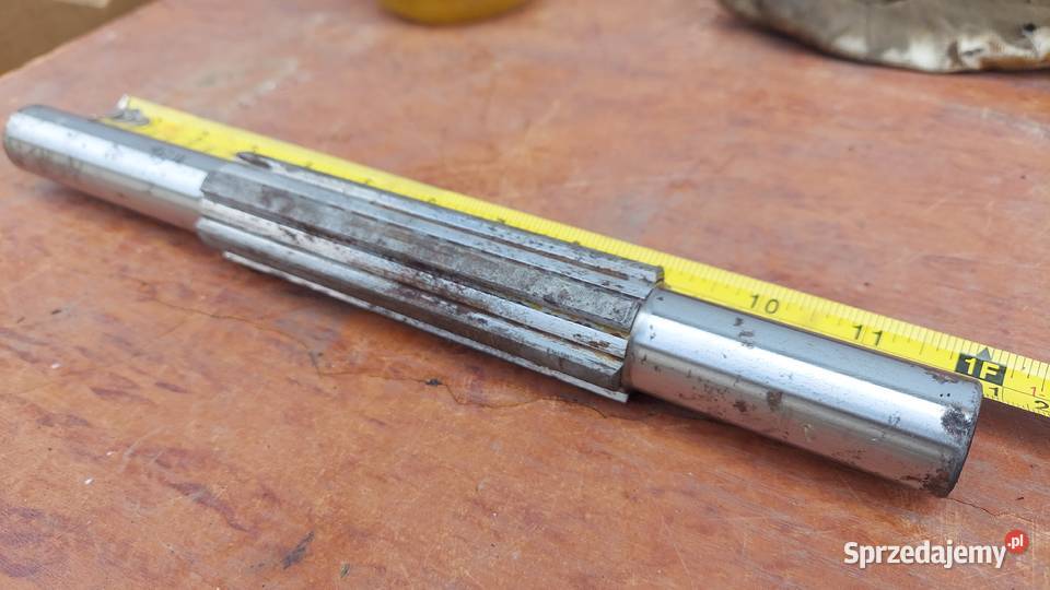 WAŁEK POŚREDNI do DZIKA DZIK nieużywany stan Otmuchów sprzedam