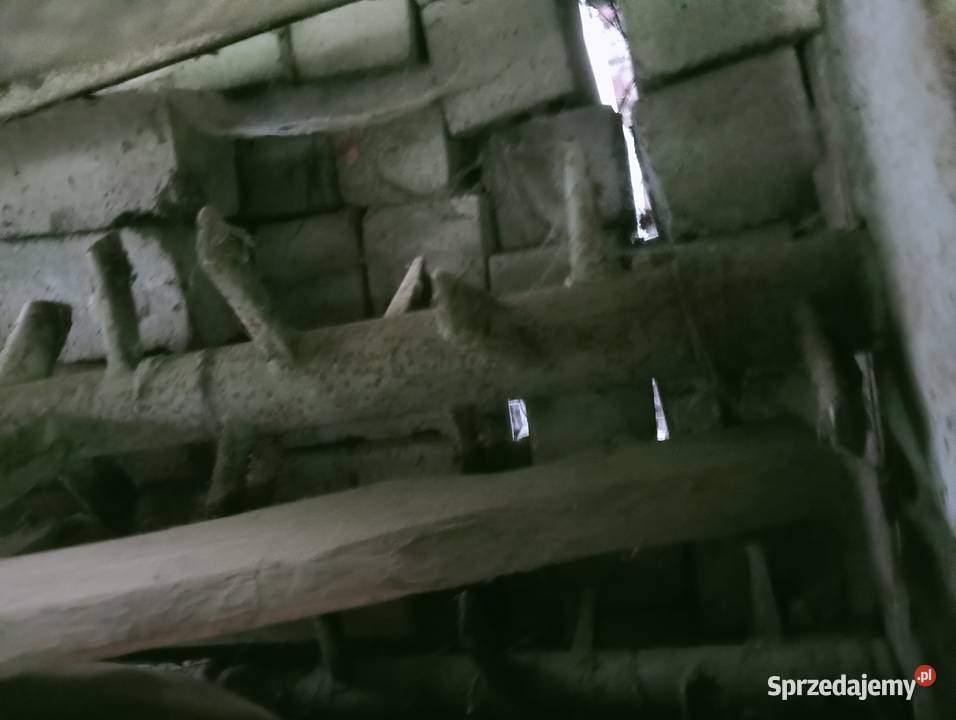 Rozrzutnik rotacyjnych jednoosiowy