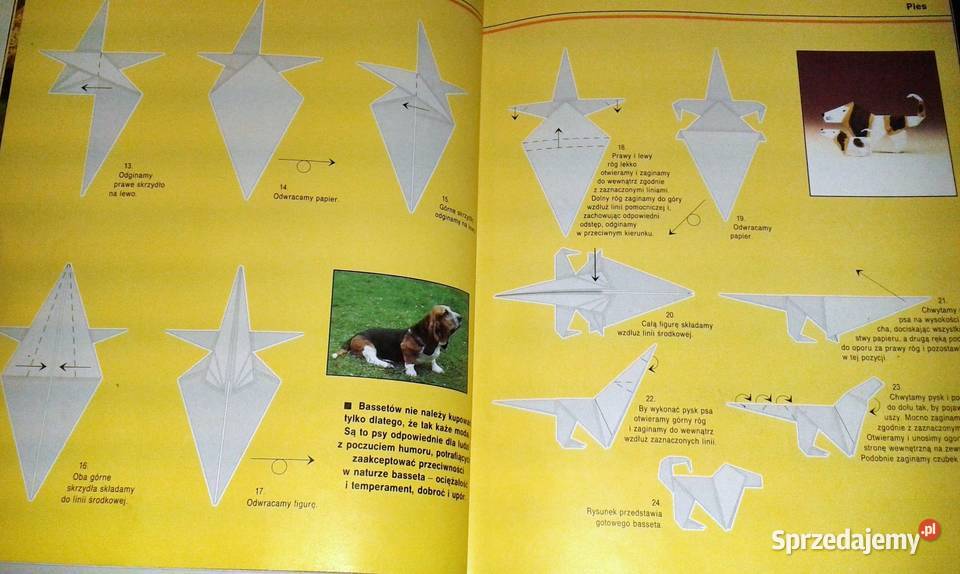 Origami Papierowe zoo Hector Rojas F Chełm