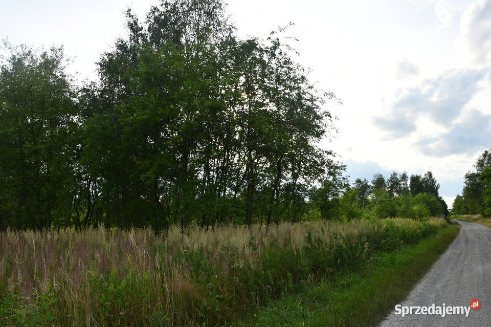 Działki 11a pod zabudowę Rudna Mała inwestycyjna