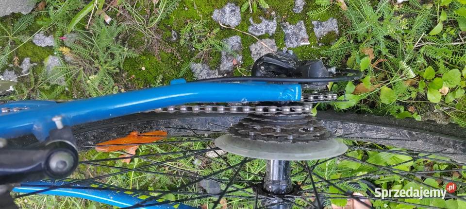 Mudoyfox Anarchy 26 Wrocław