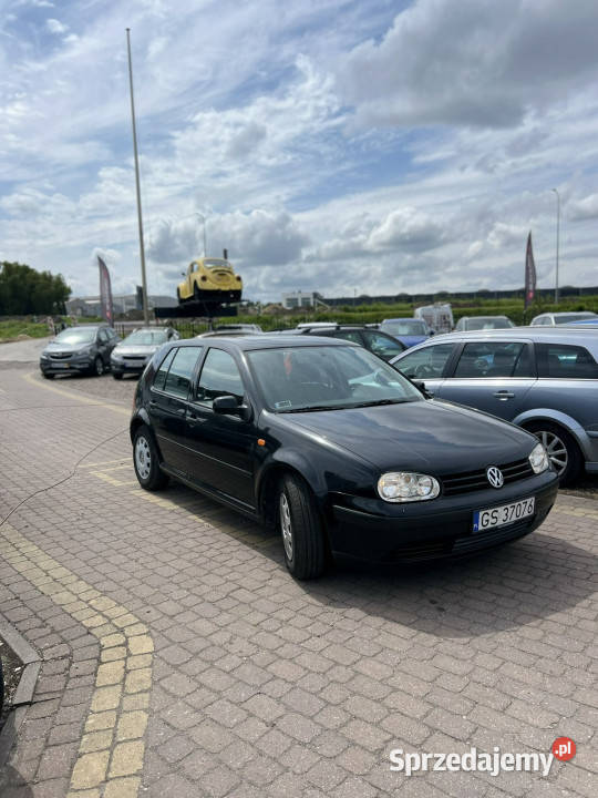Volkswagen Golf IV 19972003 75KM Golf Słupsk