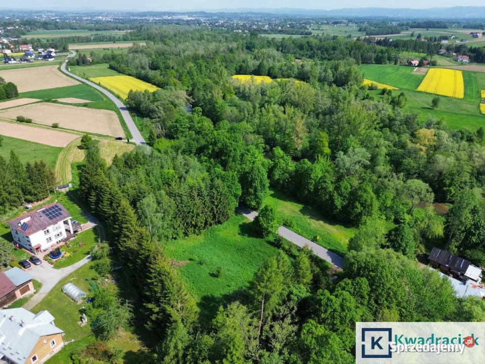 Grunt 4900m2 Zręcin Konopnickiej