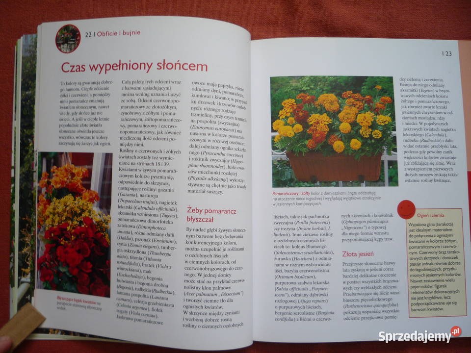 Nowa Balkony Piękne Ogrody Poradnik Szczecin sprzedam