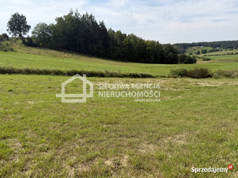 Działka do sprzedania Kobysewo 1000m2 Sprzedaż