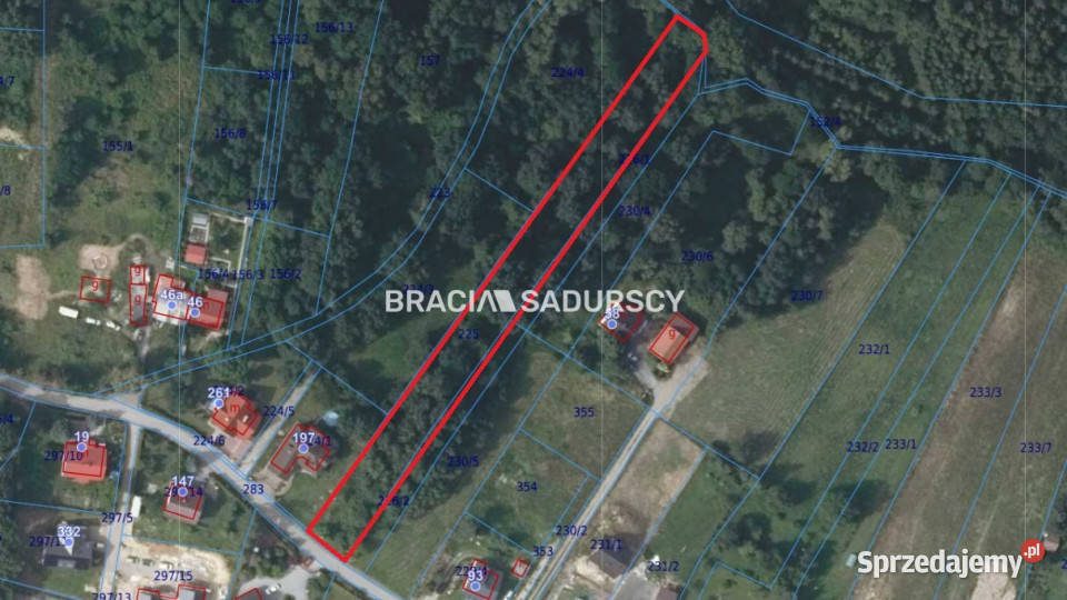 Grunt 2900m2 Sygneczów małopolskie