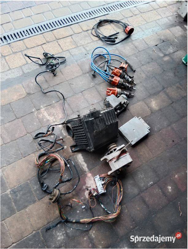 Ford sierra 20 8v OHC EFI Pinto aparat zapłonowy Wiązów