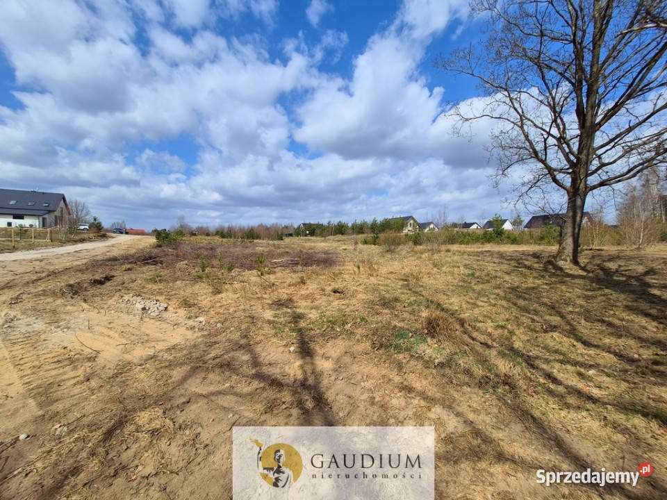 Przystanek NATURA działka pod lasem Kobysewo