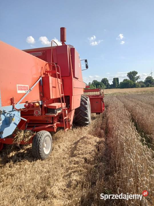 Sprzedam Kombajn Bizon Z056 89 Bizon Zbożowe Szprotawa
