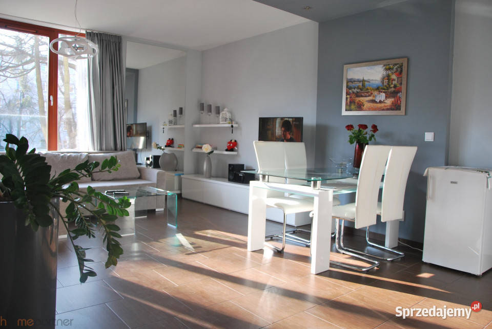 wynajmu lokalu 47m2 Wrocław sprzedam