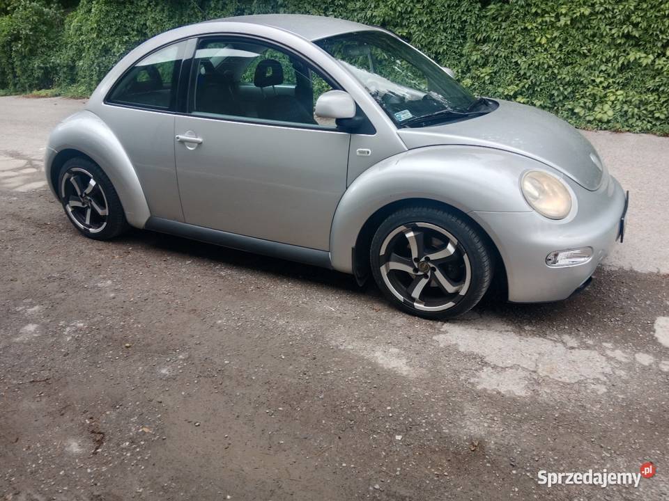 Vv beetle Urzędów