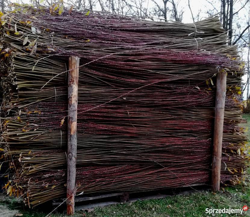 Wiklina sortowana 180 do 240 Korczowiska