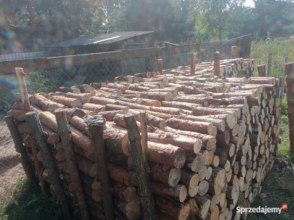 Drewno suche Brzustów